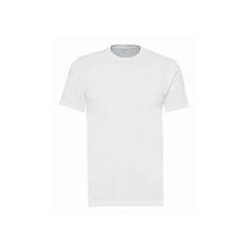 the tee shirt white
