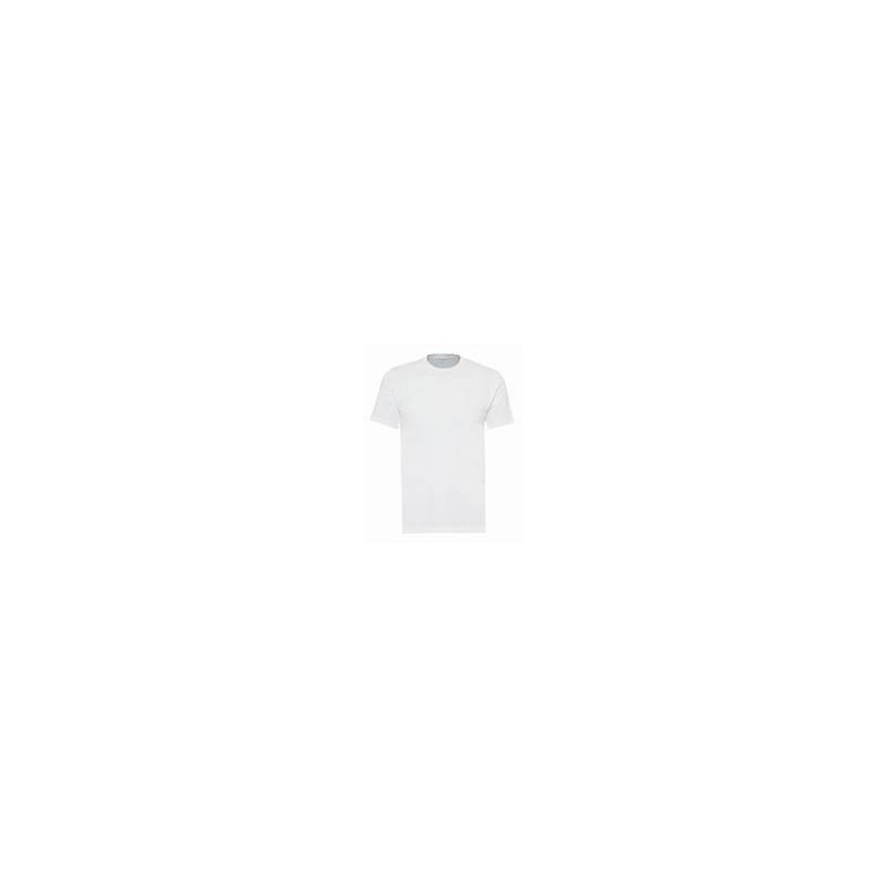 the tee shirt white